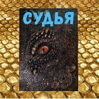 Видеозаклинание - Книга Дракона - Судья