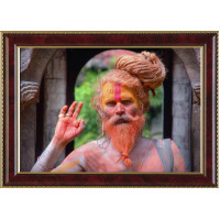 Флеш-артефакт – Народы Индии – Жрецы