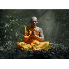 Флеш-артефакт – Внутренний сервис – Сервисный Гид Инструктор – Мастер медитации