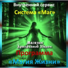 Аудіосистема – Внутрішній сервіс – Система Маг – Програма Магія Життя