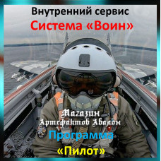 Аудіосистема – Внутрішній сервіс – Система Воїн – Програма Пілот