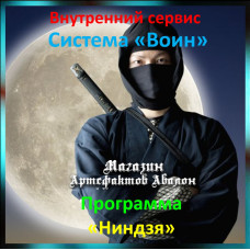 Аудіосистема – Внутрішній сервіс – Система Воїн – Програма Ніндзя