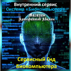 Аудіосистема – Внутрішній сервіс – Система Біокомп'ютер – Сервісний Гід Біокомп'ютера