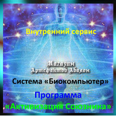 Аудіосистема – Внутрішній сервіс – Система Біокомп'ютер – Програма Активізація Союзника