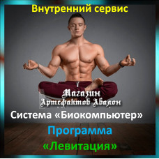 Аудіосистема – Внутрішній сервіс – Система Біокомп'ютер – Програма Левітація