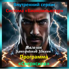 Аудіосистема – Внутрішній сервіс – Система Біокомп'ютер – Програма Надсила