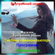 Аудіосистема – Внутрішній сервіс – Система Біокомп'ютер – Програма Телекінез