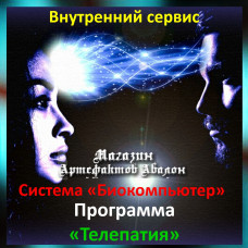 Аудіосистема – Внутрішній сервіс – Система Біокомп'ютер – Програма Телепатія