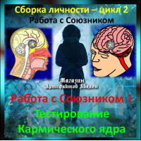 Відеосистема - Робота з Союзником 1. Тестування Кармічного ядра