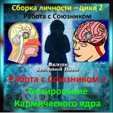 Відеосистема - Робота з Союзником 1. Тестування Кармічного ядра