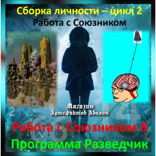 Відеосистема – Робота з Союзником 8. Програма Розвідник