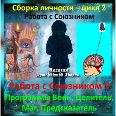 Відеосистема - Робота з Союзником 9. Програми Воїн. Цілитель. Маг. Провісник