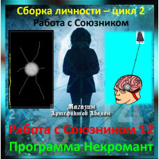 Відеосистема - Робота з Союзником 12. Програма Некромант