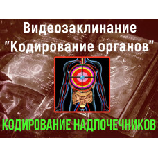 Відеозаклинання 1 типу – Кодування органів – Кодування Надниркових залоз