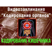 Відеозаклинання 1 типу – Кодування органів – Кодування Кишечника