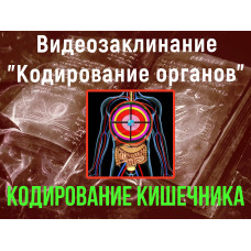 Відеозаклинання 1 типу – Кодування органів – Кодування Кишечника