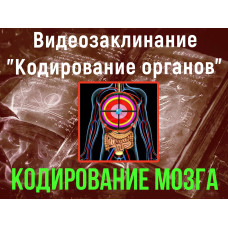 Відеозаклинання 1 типу – Кодування органів – Кодування Мозку