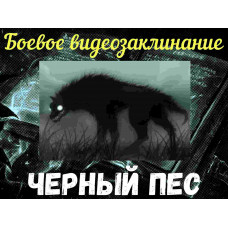 Видеозаклинание - Боевое - Черный пес