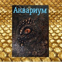 Видеозаклинание - Книга Дракона - Аквариум