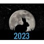Магия Нового 2023 года (6)
