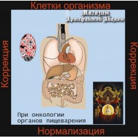 Аудиосистемы - Целительские и Нормализующие - Нормализация при онкологии органов пищеварения