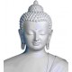 Нано Голем - Будда Благополучия