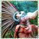 8 - Народы Майя