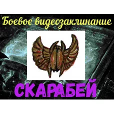 Відеозаклинання - Бойове - Скарабей
