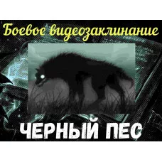 Відеозаклинання - Бойове - Чорний пес