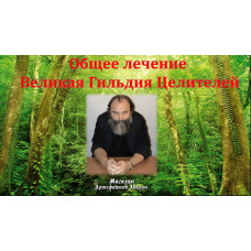 Відеосистема - Загальне лікування. Велика Гільдія Цілителей