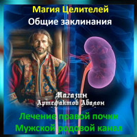 Аудіозаклинання - Лікування правої нирки. Чоловічий родовий канал - Лікувальні заклинання