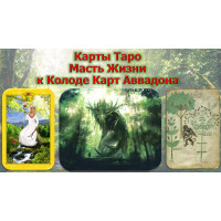 Відеосистема – Карти Таро – Масть Життя до колоди «Таро Аввадона»