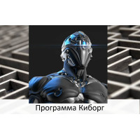Відеосистема - Програма Кіборг