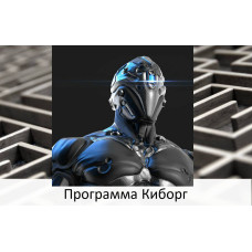 Відеосистема - Програма Кіборг