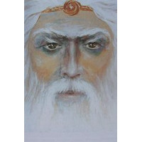 Флеш-артефакт - Шамани Вани
